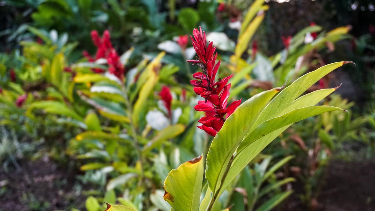 Pousada Das Garcas 萨夸雷马 外观 照片